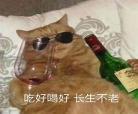沙雕无cp小说
